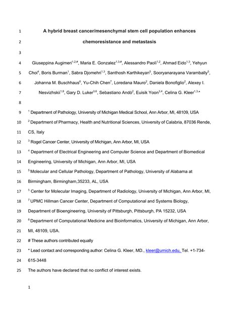 Pdf A Hybrid Breast Cancer Mesenchymal Stem Cell Population Enhances