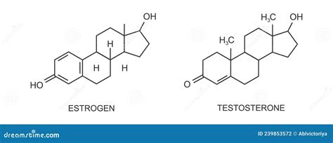 Testosterone And Estradiol Icons Chemical Molecular Structure Steroid