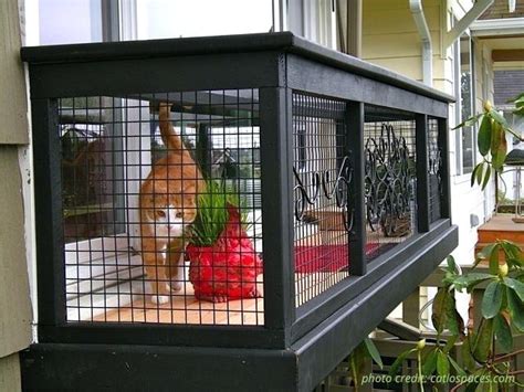 Catios Everything You Need To Know Catio World Outdoor Cat Enclosure Cat Patio Cat Cages