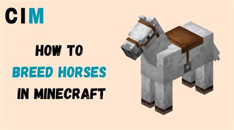 How To Breed Horses In Minecraft Comprehensive Instructions