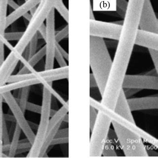 Typical Sem Image Of Spet Nanofibrous Membrane A B W V