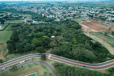 Horto Florestal Tem Mudas De Rvores E Plantas Para Distribuir