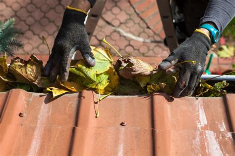 How To Clean Gutters Without A Ladder A Comprehensive Guide