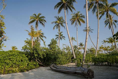 Alles was du über das Buchen eines Urlaubs auf den Malediven wissen