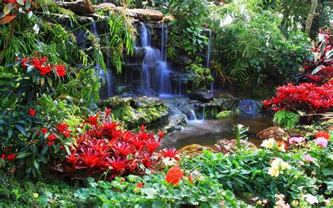 Serene Garden Waterfall Hd Wallpaper