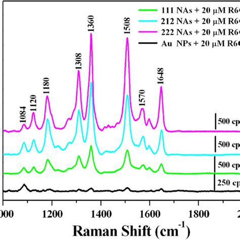 Sers Spectra Of 20 μm R6g As The Probe Molecules Adsorbed On The Au