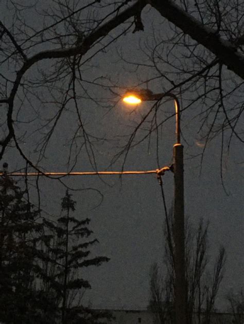 Lights nel 2025