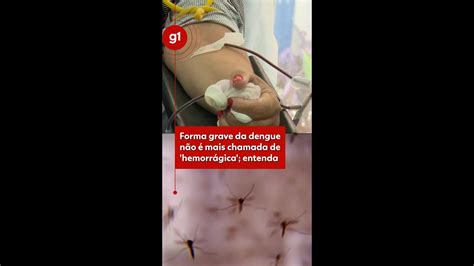 Dengue Entenda Por Que A Forma Grave Da Doen A N O Deve Ser Chamada