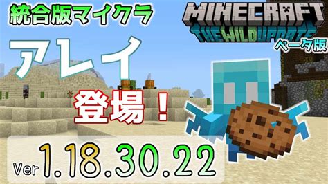 【統合版マイクラ】アレイ ～allay～ 登場！今後のアップデート情報 Betaandpreview版 Ver1183022【pe