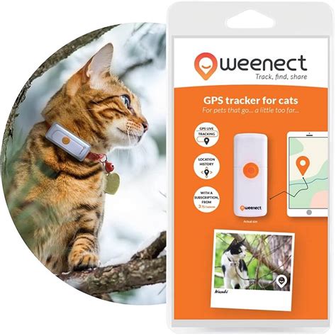 Rastreadores Gps Para Gatos Los Mejores Del