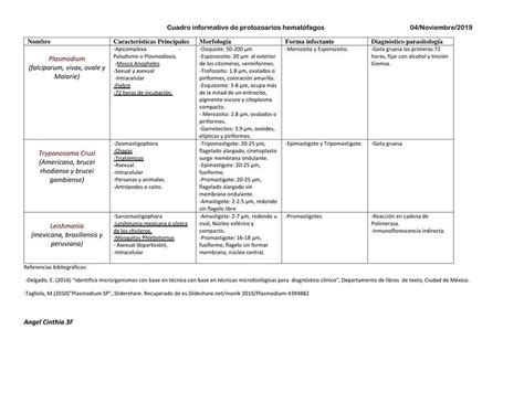 Cuadro Informativo De Protozoarios Hemat Fagos Cinthia Daiana Udocz