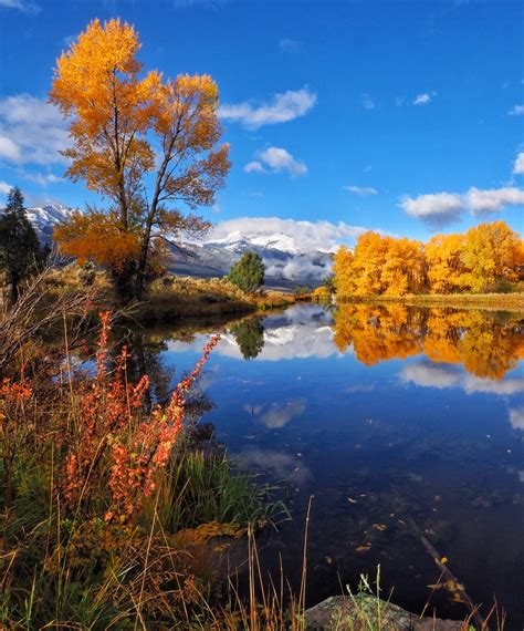 Reveling in Yellowstone's Fall Colors - A Yellowstone Life