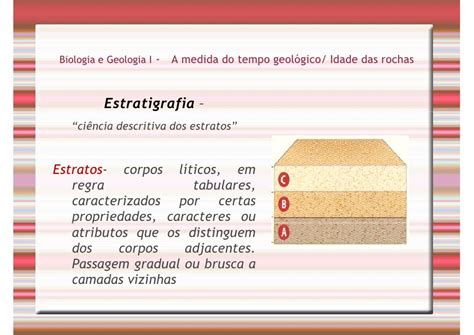 Tempo Geológico Fósseis Estratigrafia