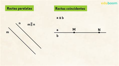 Las Rectas Semirrectas Y Los Segmentos Explicado De Manera Sencilla