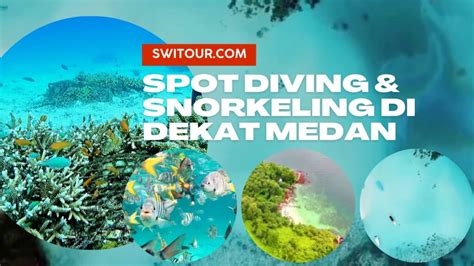 5 Spot Diving Snorkeling Di Medan Lokasi Tempat Terbaik Untuk