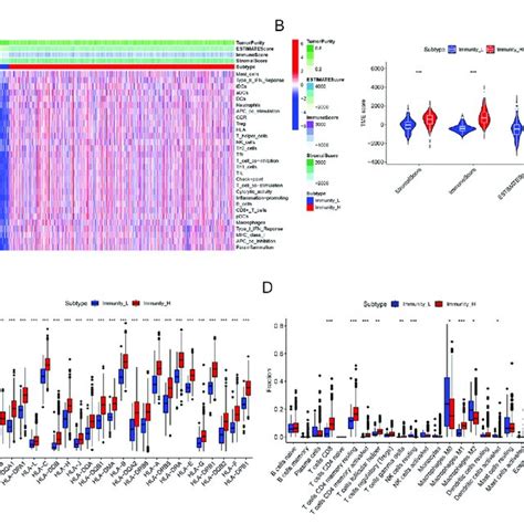 Construction And Validation Of Immune Clustering A Heatmap Showing