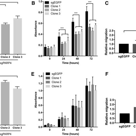 Colony Formation Proliferation And Migration Assays Of Parp Knockout