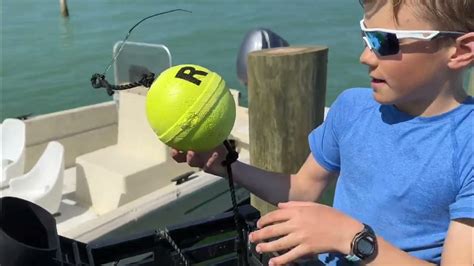 How To Catch Stone Crabs In Florida Youtube