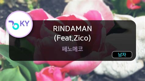 RINDAMAN Feat Zico 페노메코 KY 24981 KY Karaoke YouTube