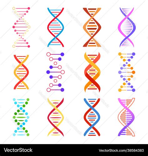 Dna Helix Icons Genetic Medicine Signs Set Vector Image