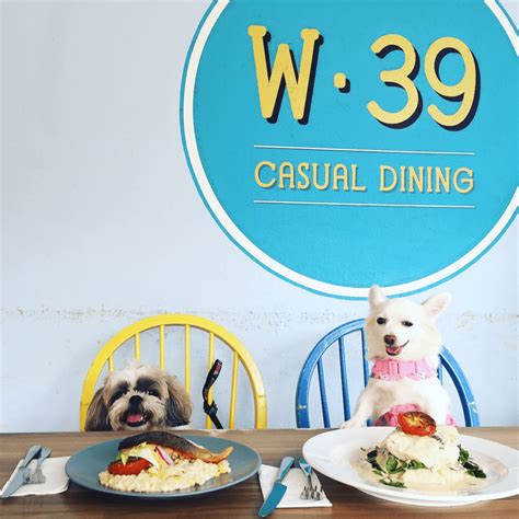 11 Dog Friendly Cafes And Restaurants In Singapore