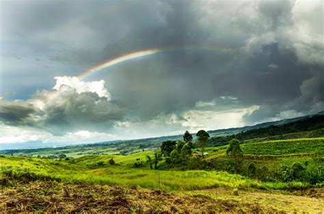 Elevation Of Dahilayan Adventure Park Manolo Fortich Bukidnon