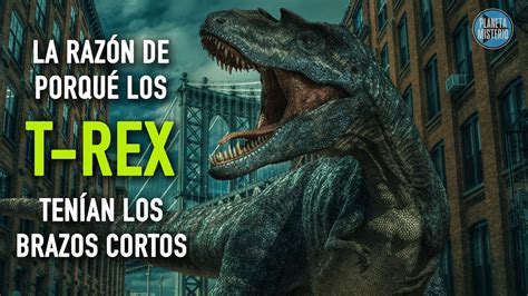 Según un nuevo estudio la razón de porqué los Tiranosaurios Rex