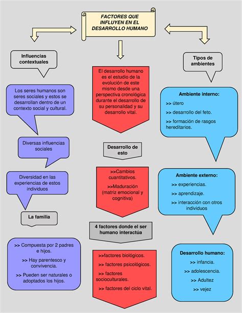 Mapa Conceptual Factores De Desarrollo Humano Factores Que Influyen