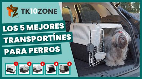 Los 5 Mejores Transportínes Para Perros Viajes En Coche Youtube