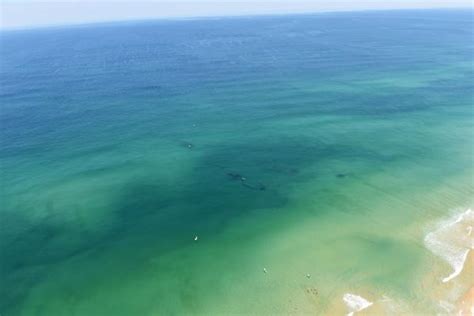 Shipwrecks Along The Outer Banks Kayaking And Scuba Diving