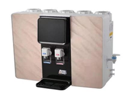 Buy CG 639 Watt Hot Cold Water Dispenser CG RO PURE PLUS At