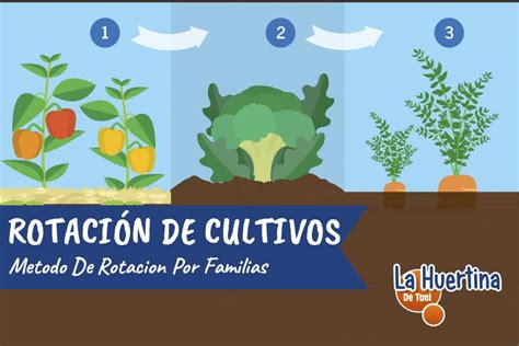 Como Hacer Rotación De Cultivos Por Familias