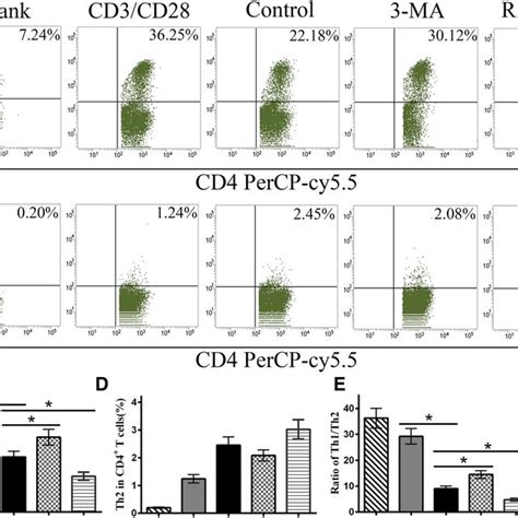 Msc Autophagy Decreases The Ratio Th Cells Flow Cytometry Was Used To