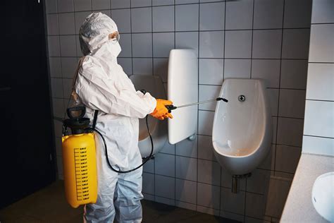 Tips for Maintaining Cleanliness and Hygiene in Office Restrooms