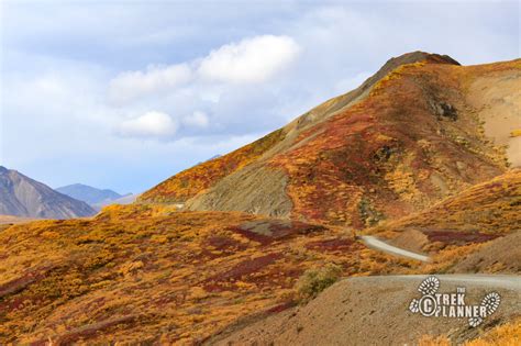 polychrome pass denali national park alaska  trek planner