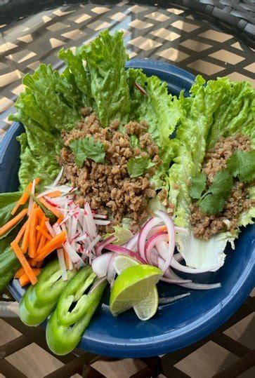 Spicy Thai Vegan Lettuce Wraps — Healthy Kids Collaborative