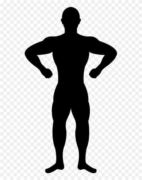 Human Body Silhouette Png