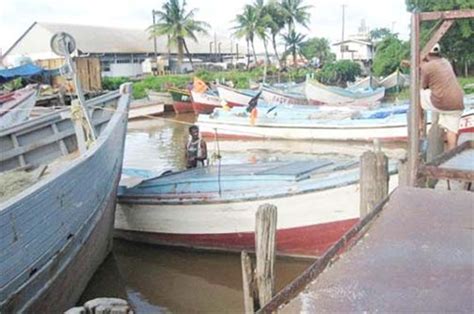 Eco Friendly Approach Seen As Lifeline For Guyanas ‘under Threat