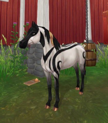 Snowdancer Wiki Star Stable Online Amino