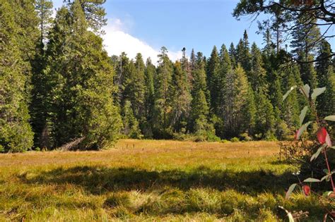 Best Hikes in Sierra National Forest (CA) - Trailhead Traveler