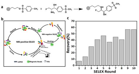 Biosensors Free Full Text Screening Of Single Stranded Dna Aptamer Specific For Florfenicol