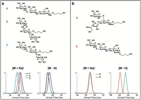 Enhancing Glycan Isomer Separations With Metal Ions And Positive And