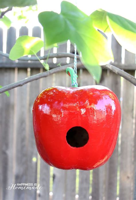 Diy Gourd Birdhouses Gourds Birdhouse Bird Houses Hand Painted Gourds