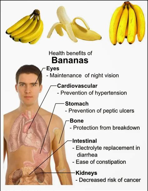 Which Bananas Are Best For Diarrhea Relief? A Comprehensive Guide On Banana Types And Remedies.