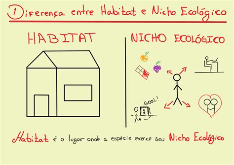 Diferença entre nicho ecológico e habitat Biologia