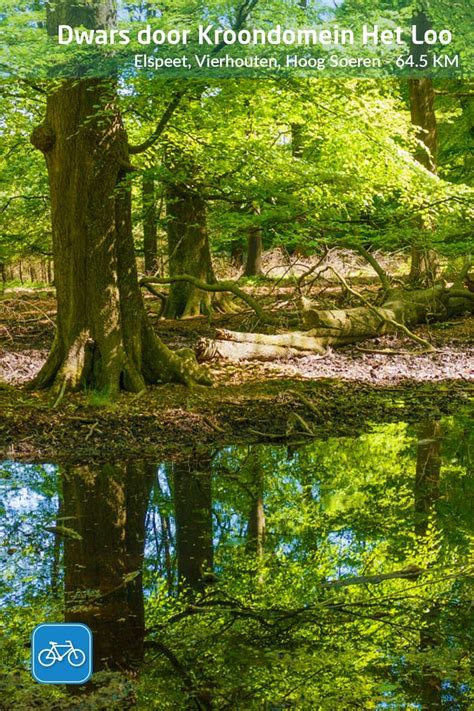 Dwars Door Kroondomein Het Loo Fietstochten Wilde Zwijnen Vakantie