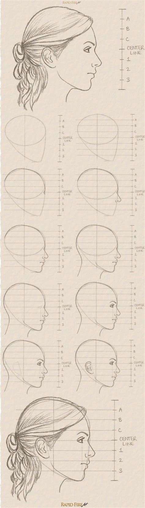 11 Steps On How To Draw A Female Face Side View Rapidfireart