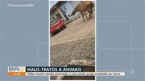 VÍDEO Motorista é flagrado arrastando cavalo amarrado a carro no