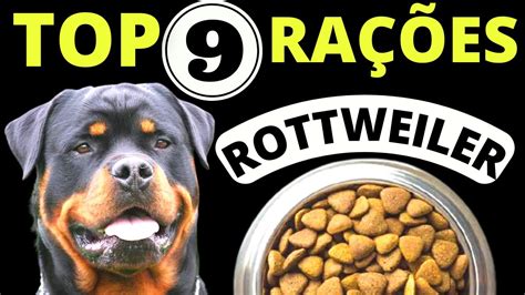 Aprender Sobre Imagem Melhor Ra O Rottweiler Br Thptnganamst Edu Vn