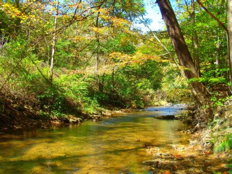 Free Images Tree Outdoor Creek Wilderness Wood River Valley